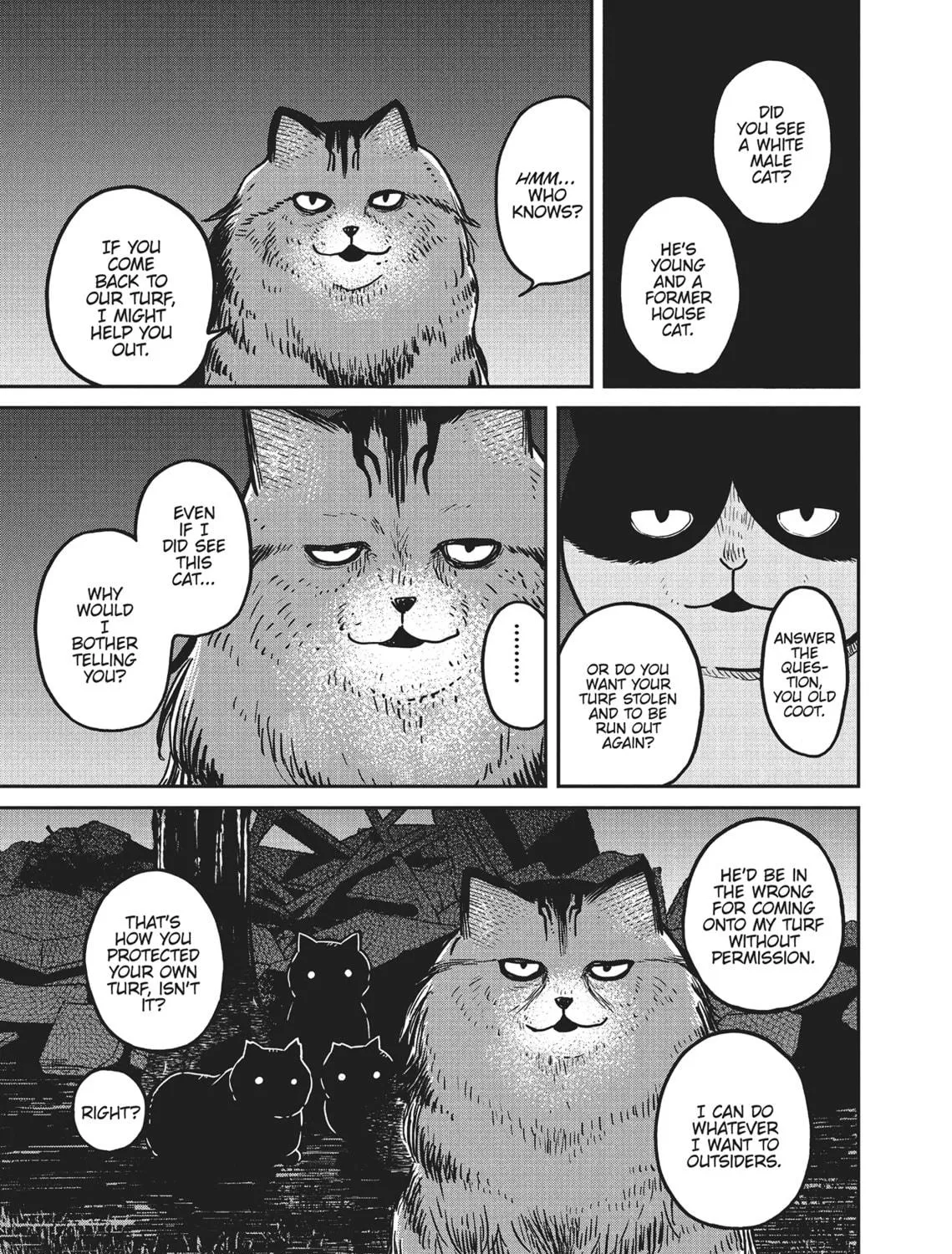 Cat Companions Maruru and Hachi Chapter 3 page 17 - 