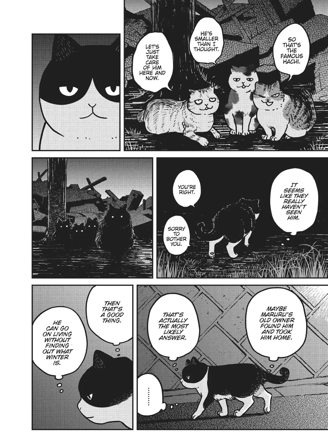 Cat Companions Maruru and Hachi Chapter 3 page 19 - 