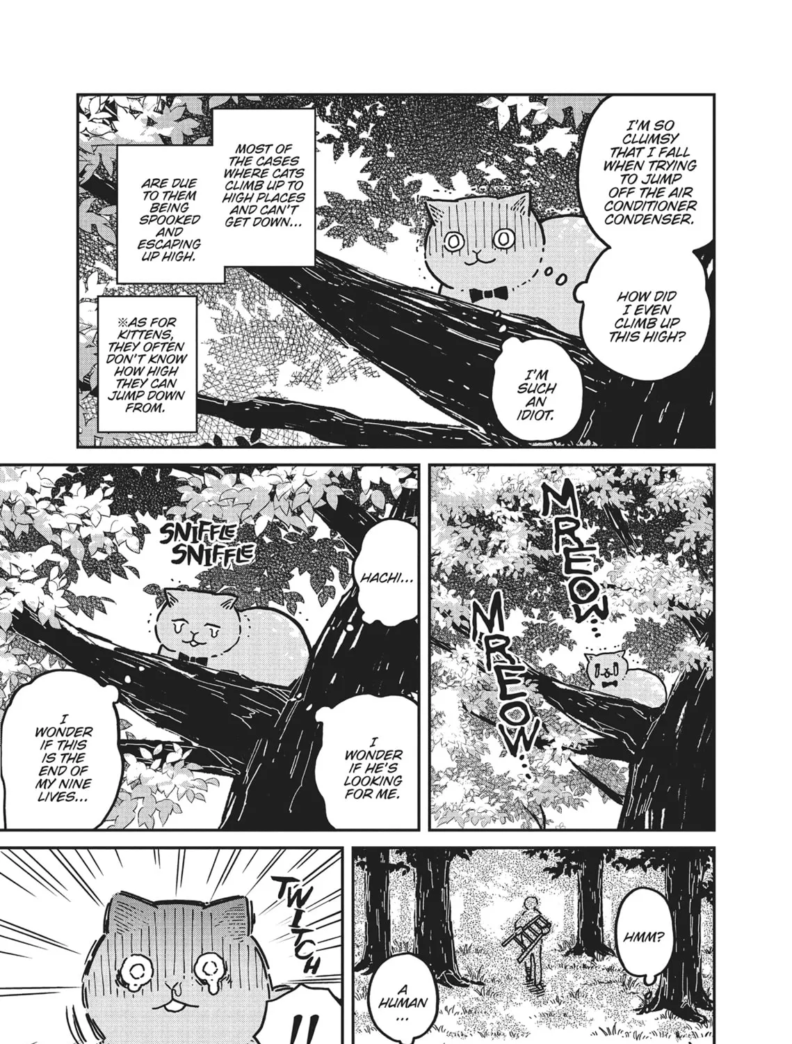 Cat Companions Maruru and Hachi Chapter 3 page 25 - 