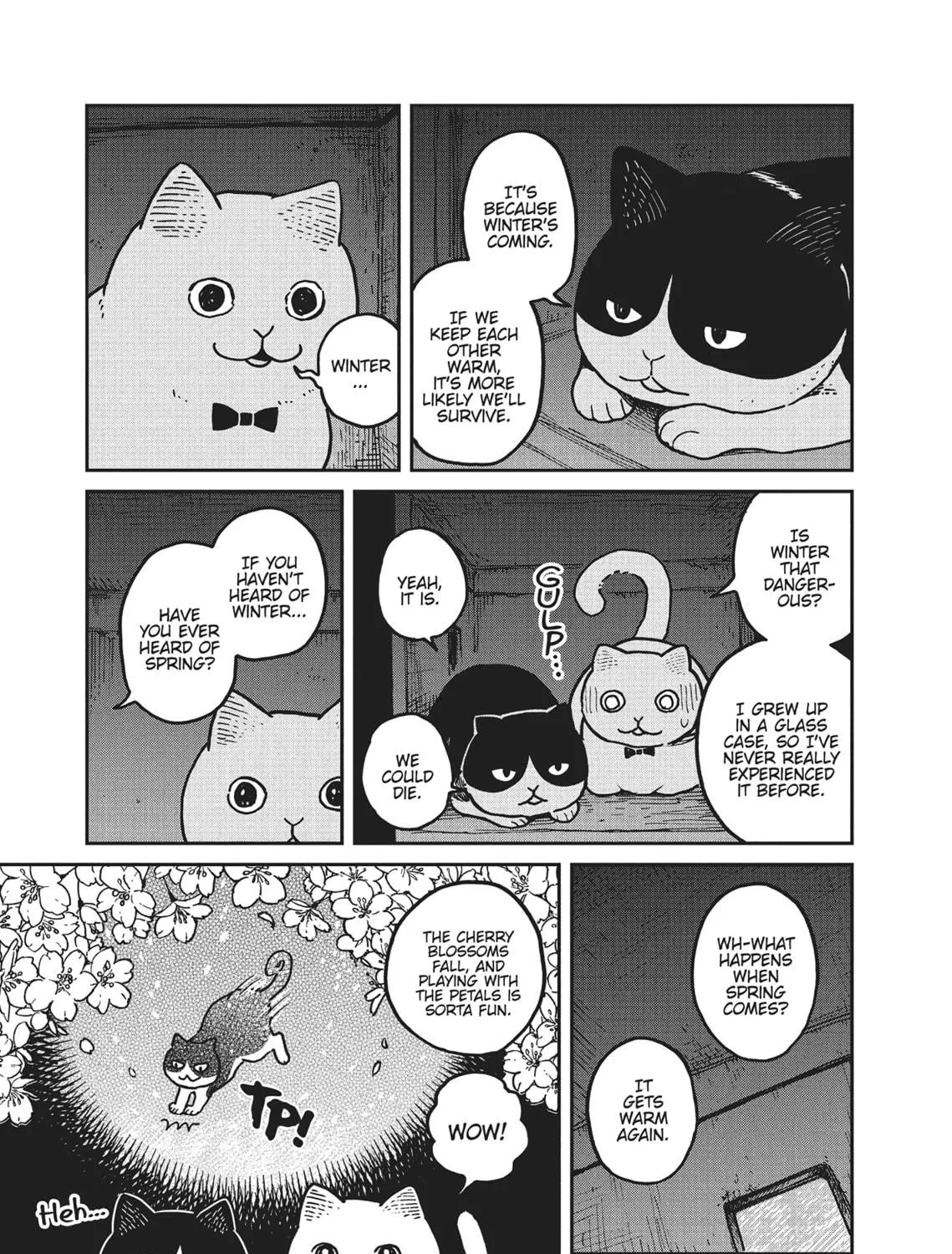 Cat Companions Maruru and Hachi Chapter 3 page 5 - 