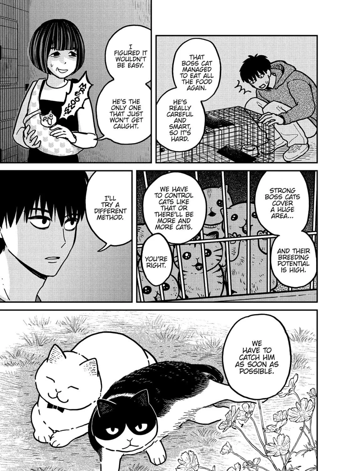 Cat Companions Maruru and Hachi Chapter 3 page 41 - 
