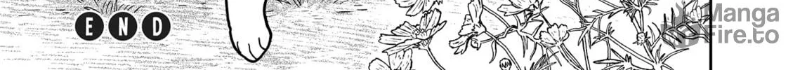 Cat Companions Maruru and Hachi Chapter 3 page 42 - 