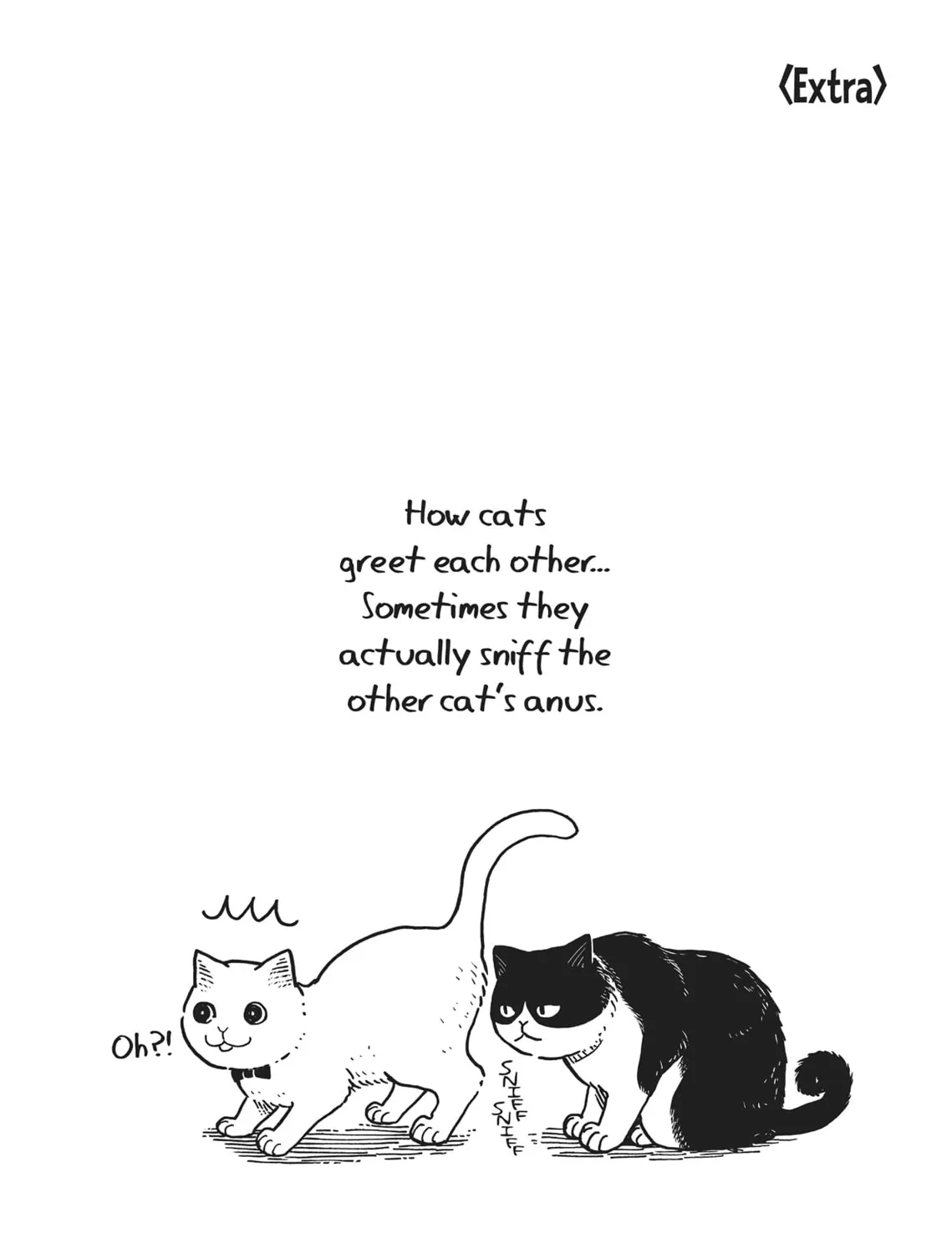Cat Companions Maruru and Hachi Chapter 3 page 43 - 