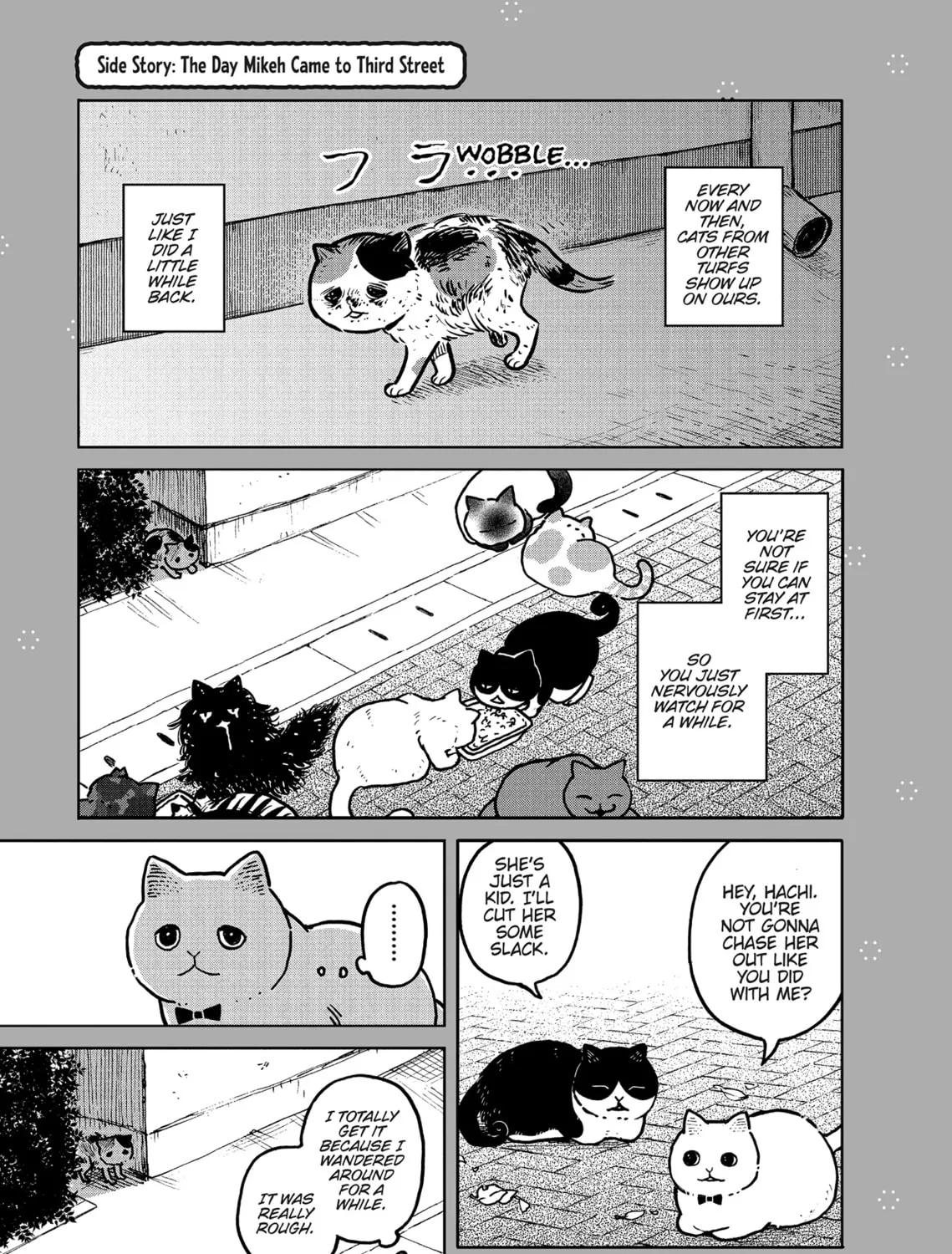 Cat Companions Maruru and Hachi Chapter 3 page 45 - 