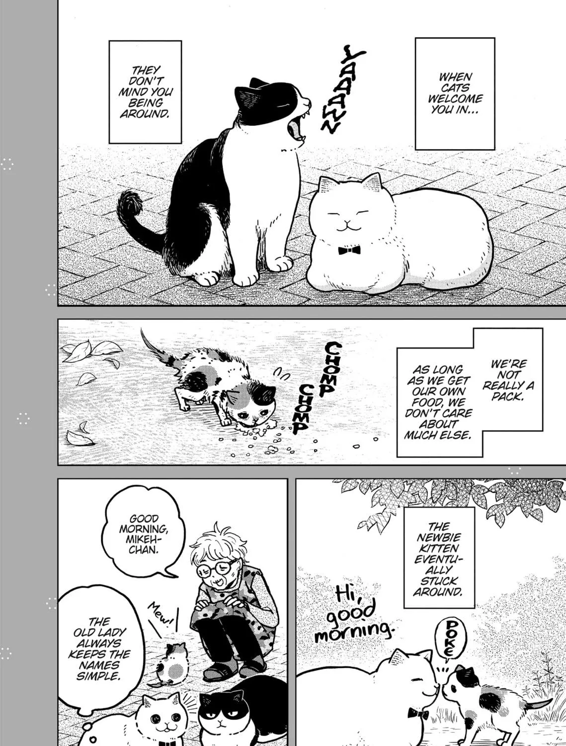 Cat Companions Maruru and Hachi Chapter 3 page 47 - 