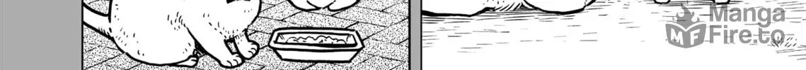 Cat Companions Maruru and Hachi Chapter 3 page 48 - 