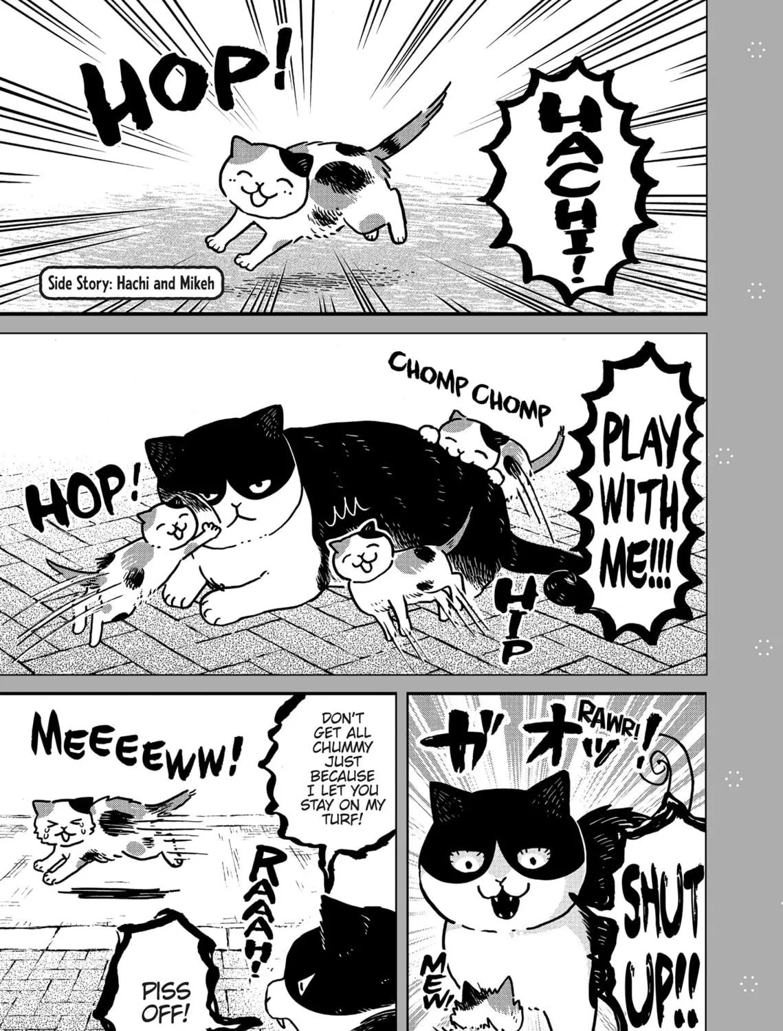 Cat Companions Maruru and Hachi Chapter 3 page 49 - 