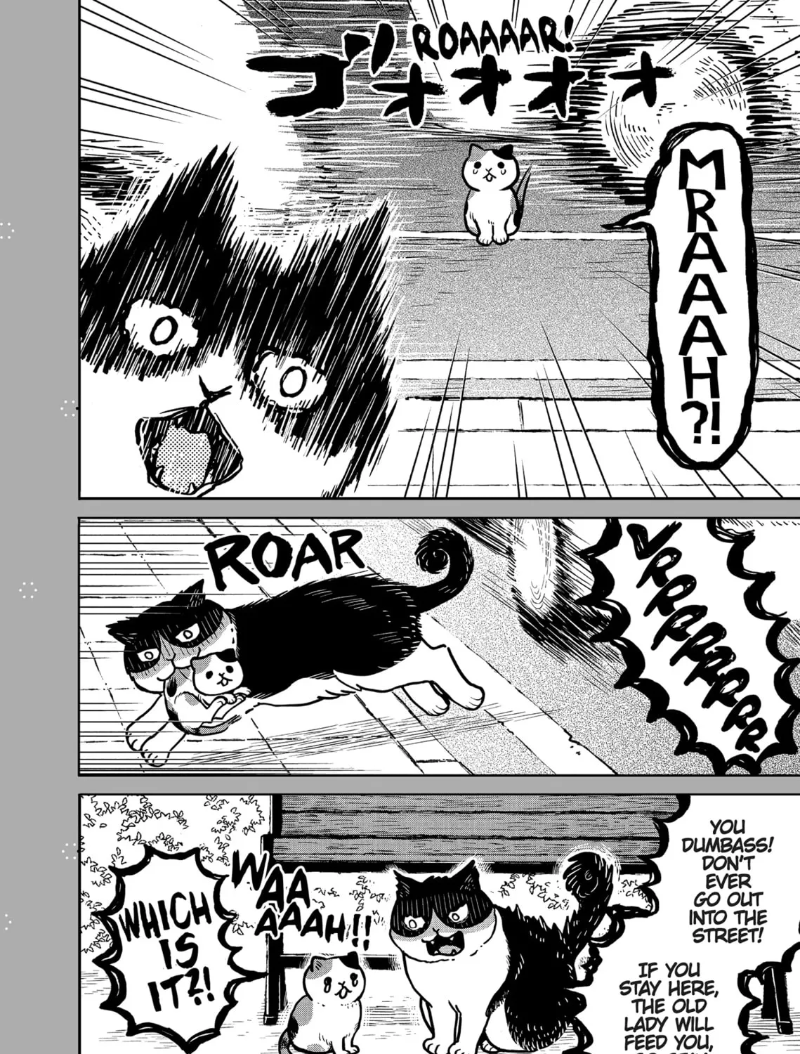 Cat Companions Maruru and Hachi Chapter 3 page 51 - 
