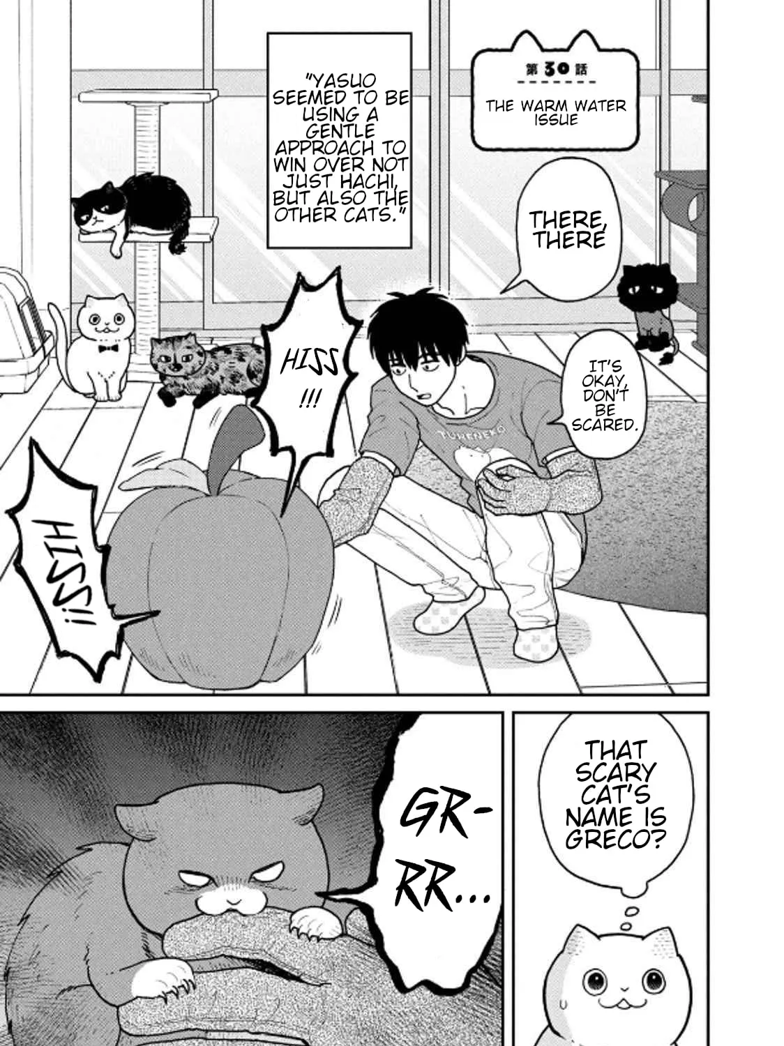Cat Companions Maruru and Hachi Chapter 30 page 1 - 