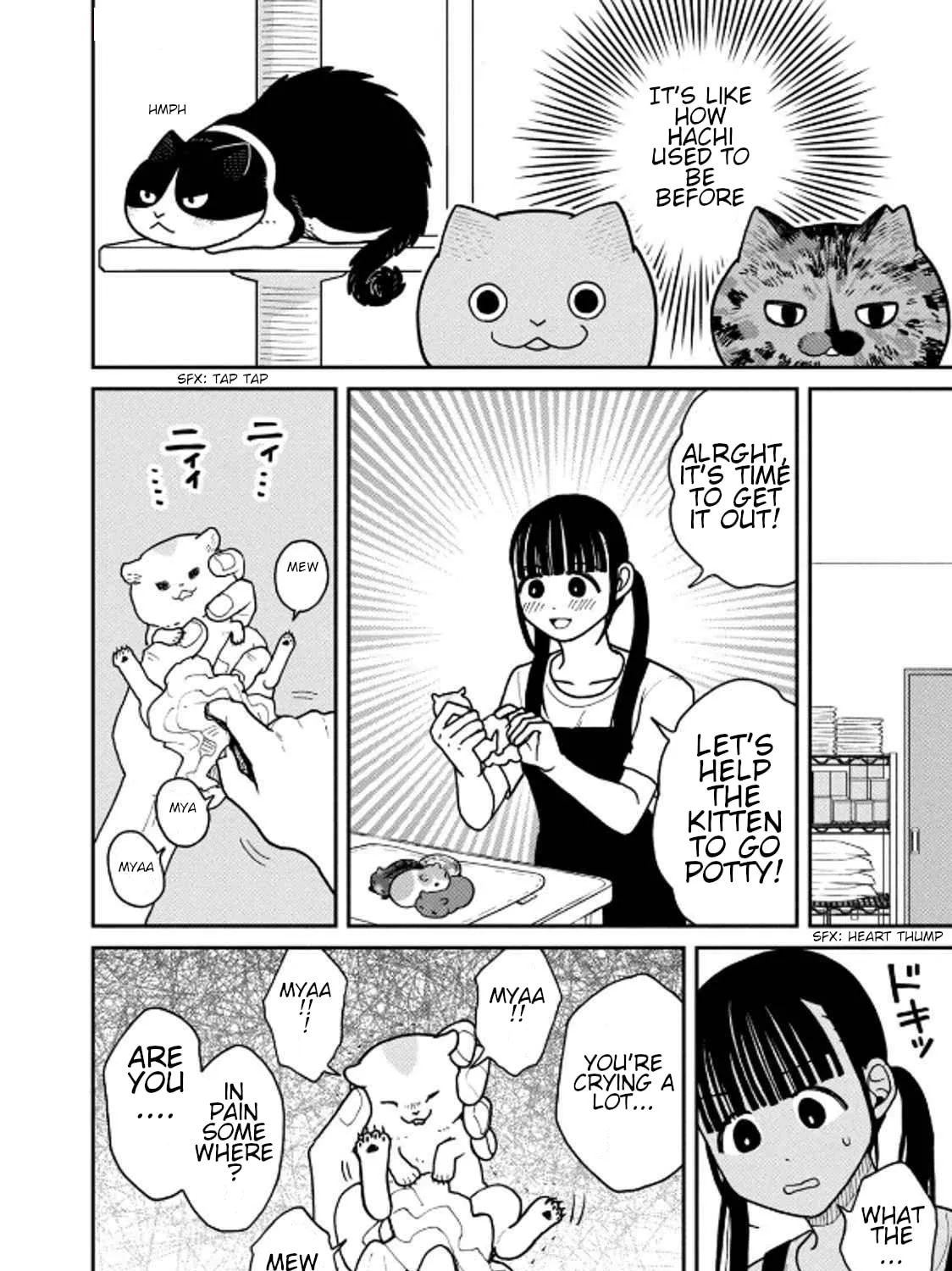 Cat Companions Maruru and Hachi Chapter 30 page 3 - 