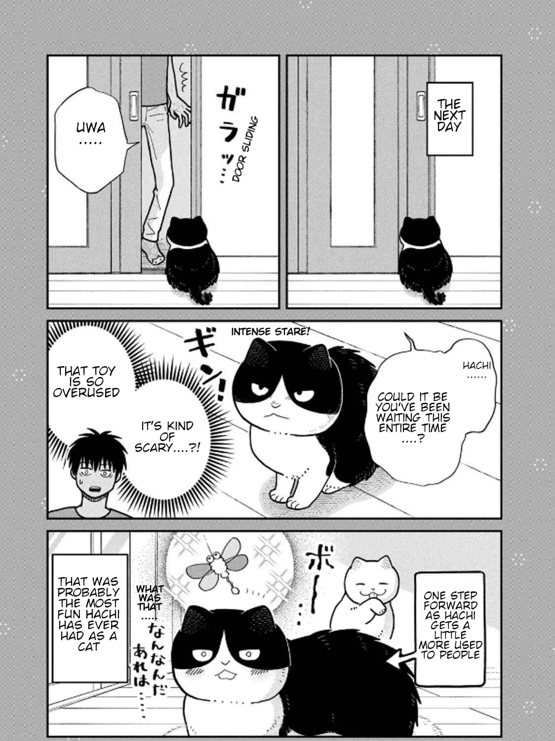 Cat Companions Maruru and Hachi Chapter 31 page 33 - 