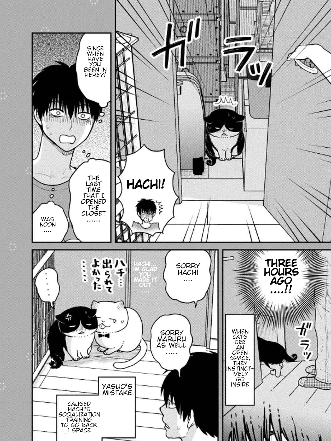 Cat Companions Maruru and Hachi Chapter 31 page 37 - 