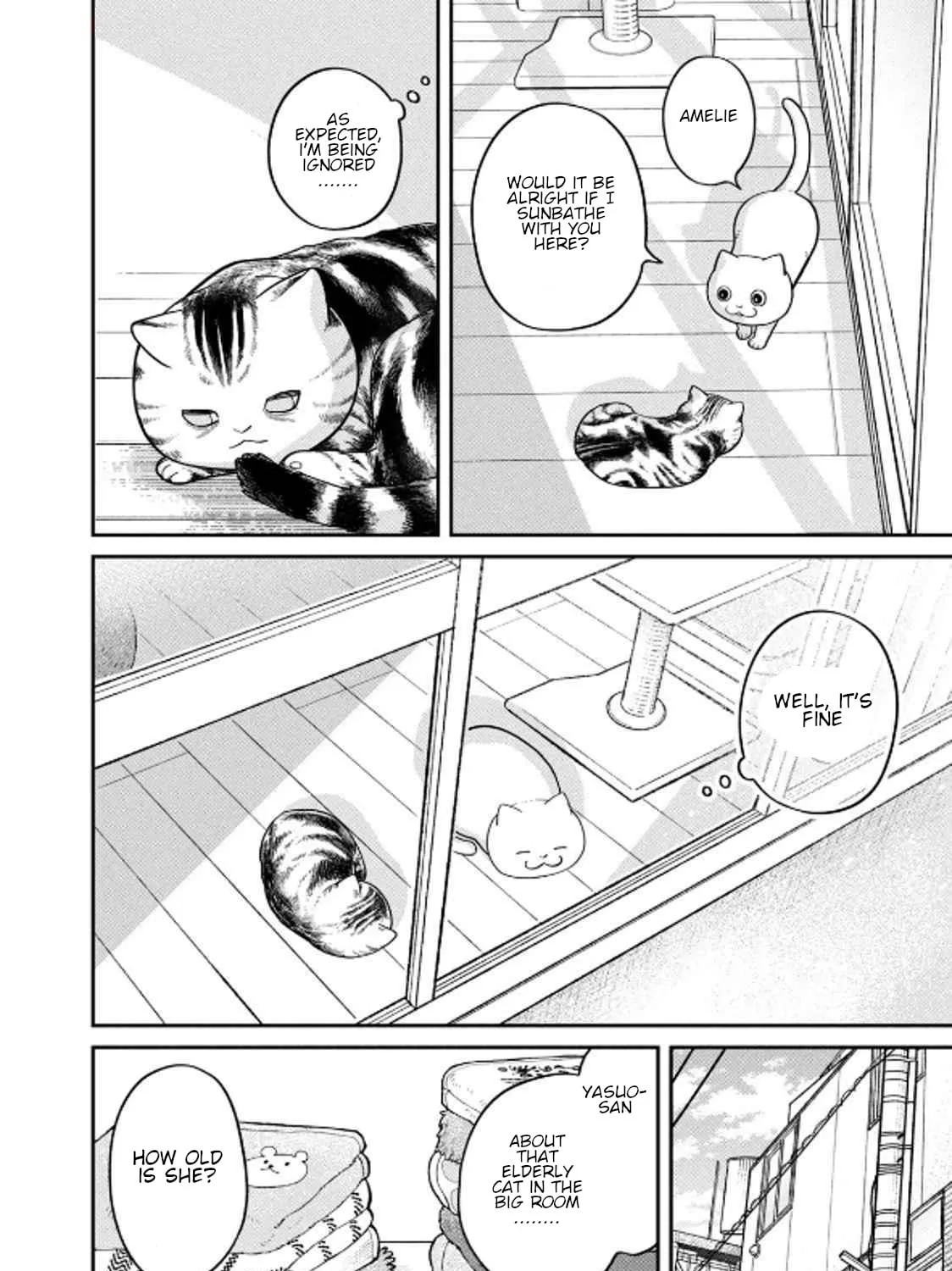 Cat Companions Maruru and Hachi Chapter 32 page 11 - 