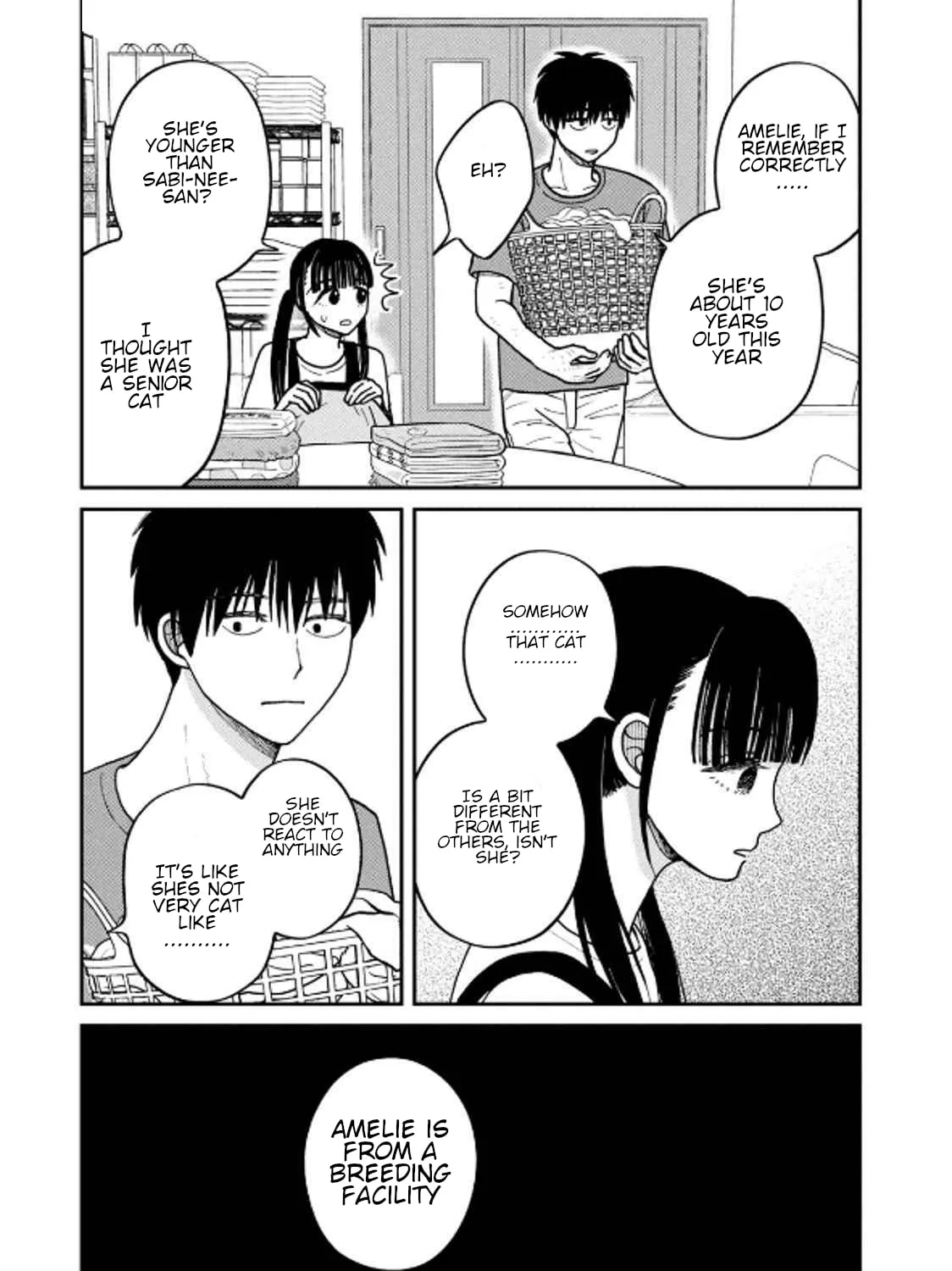 Cat Companions Maruru and Hachi Chapter 32 page 13 - 