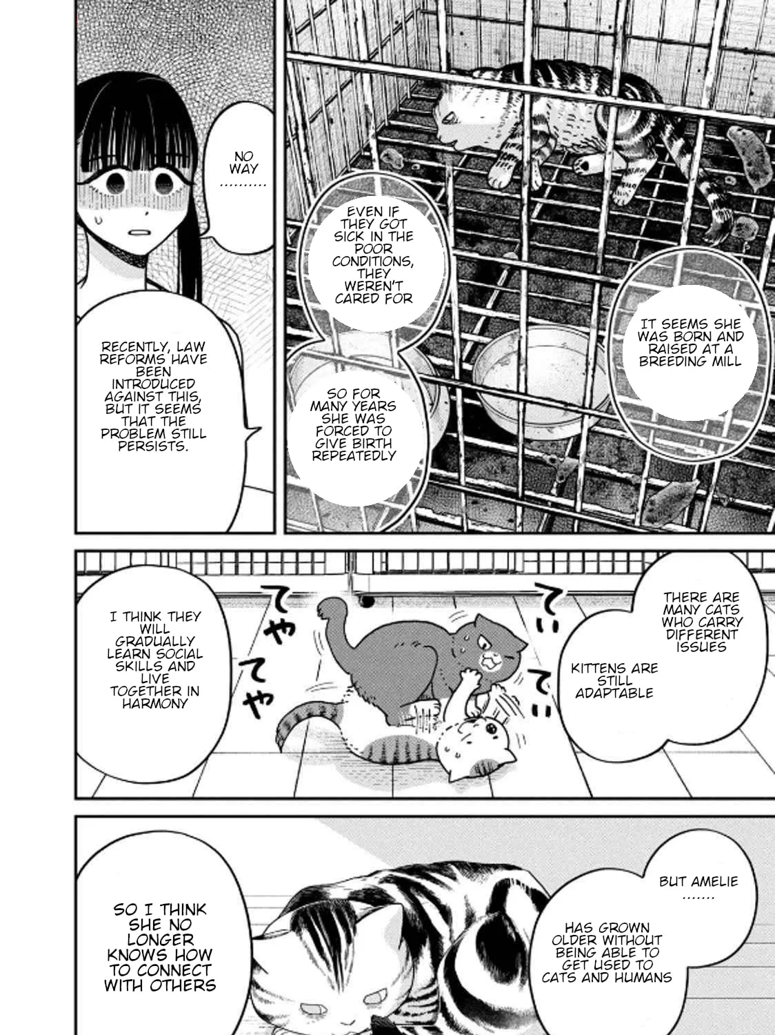 Cat Companions Maruru and Hachi Chapter 32 page 15 - 