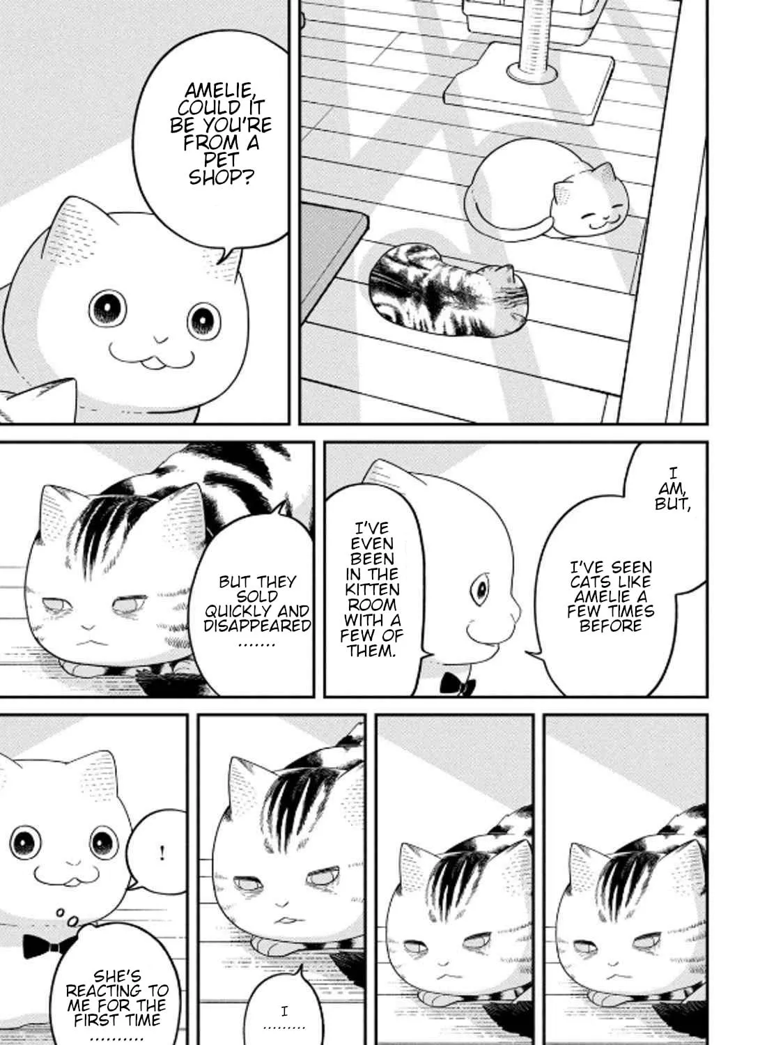 Cat Companions Maruru and Hachi Chapter 32 page 17 - 
