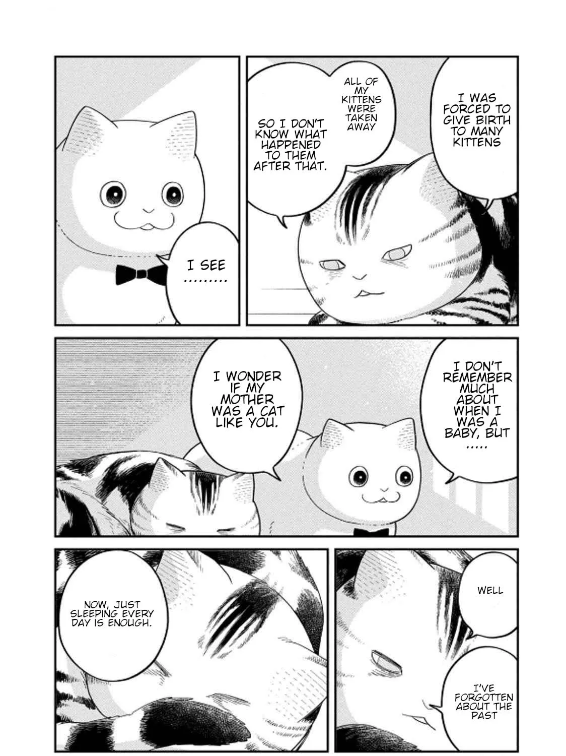 Cat Companions Maruru and Hachi Chapter 32 page 19 - 