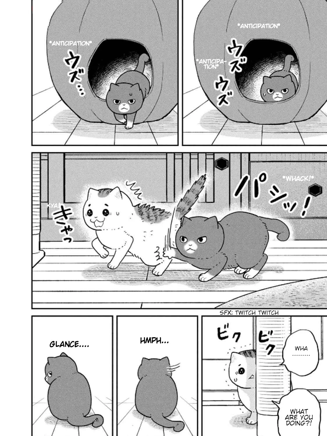 Cat Companions Maruru and Hachi Chapter 32 page 3 - 