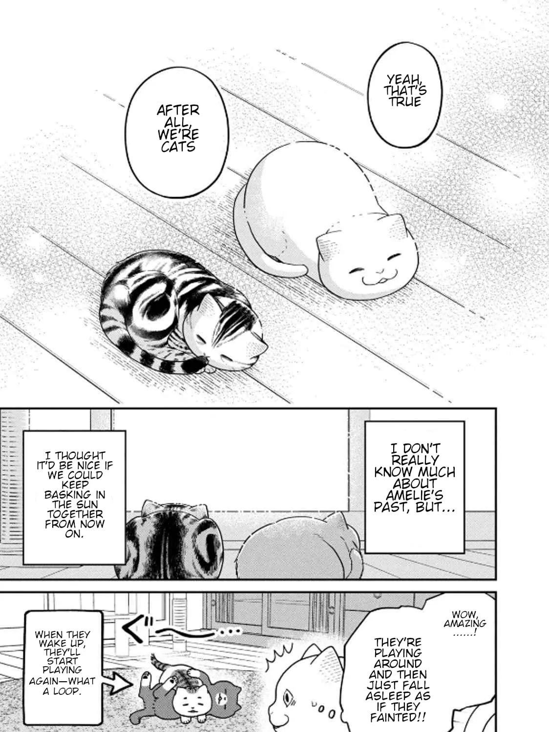 Cat Companions Maruru and Hachi Chapter 32 page 21 - 