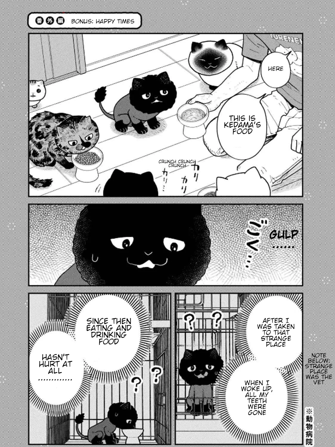 Cat Companions Maruru and Hachi Chapter 32 page 25 - 