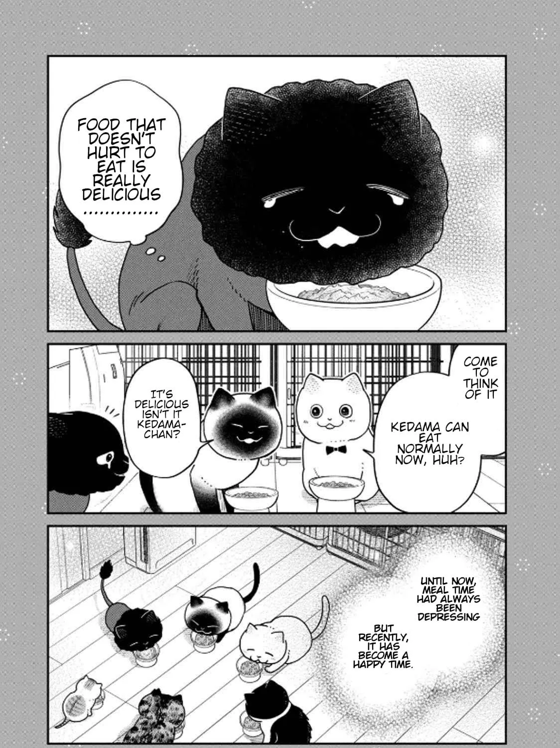 Cat Companions Maruru and Hachi Chapter 32 page 29 - 