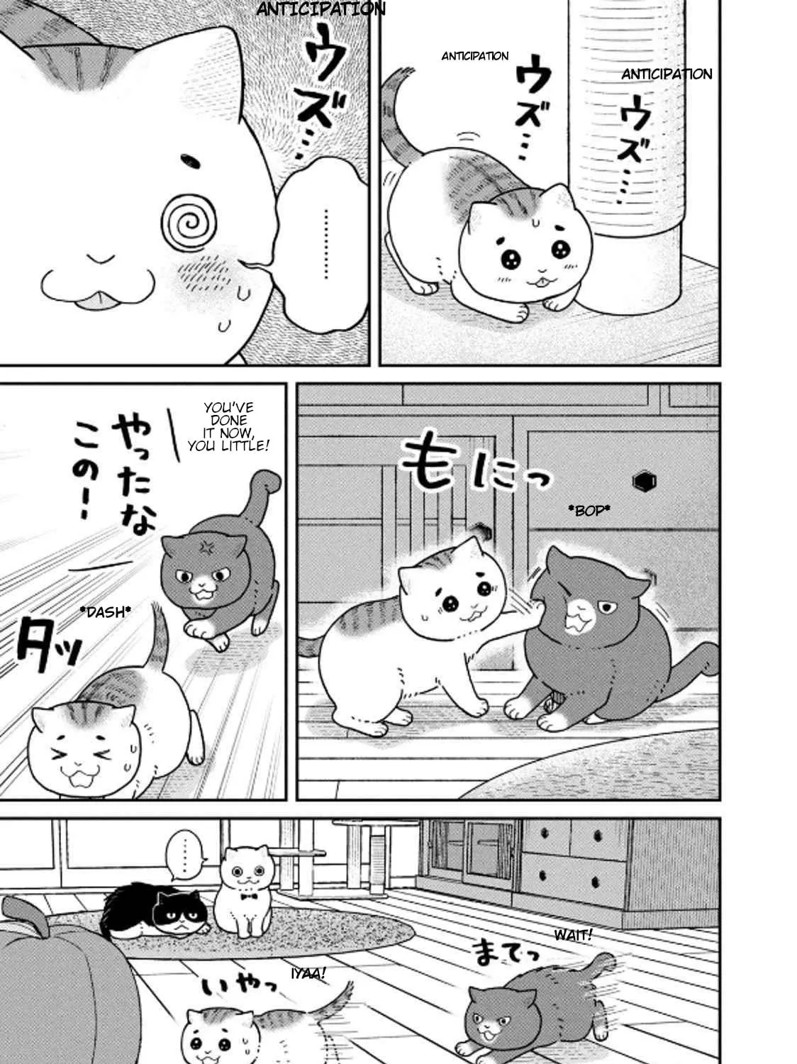 Cat Companions Maruru and Hachi Chapter 32 page 5 - 