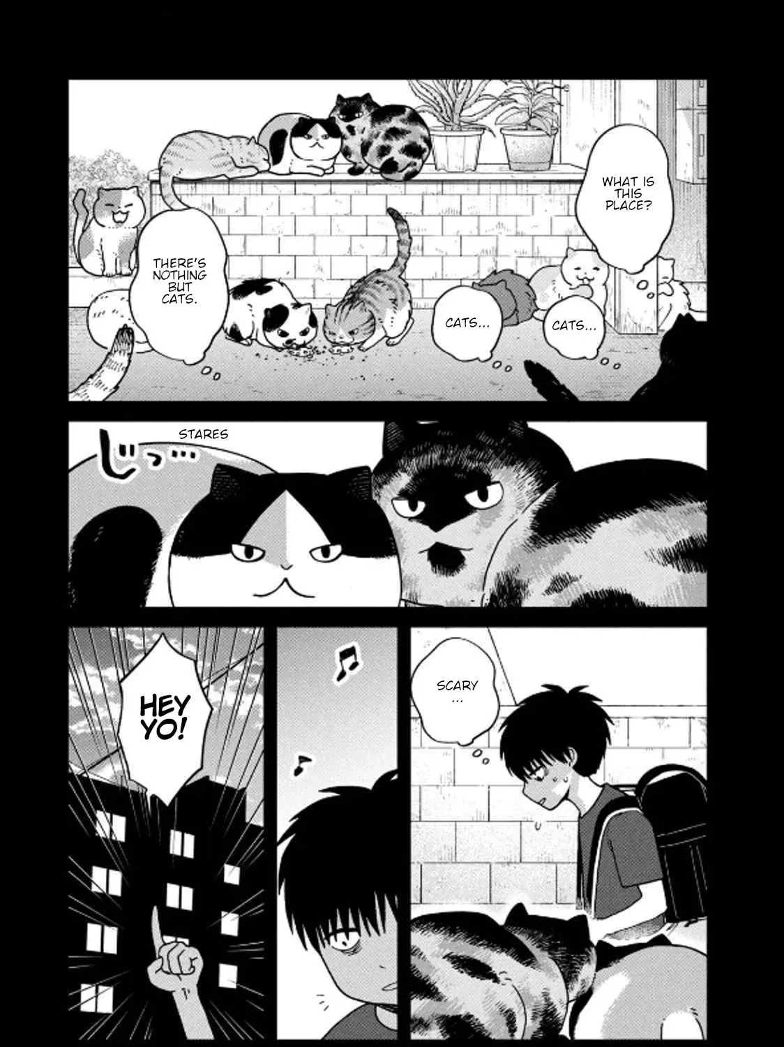Cat Companions Maruru and Hachi Chapter 34 page 3 - 