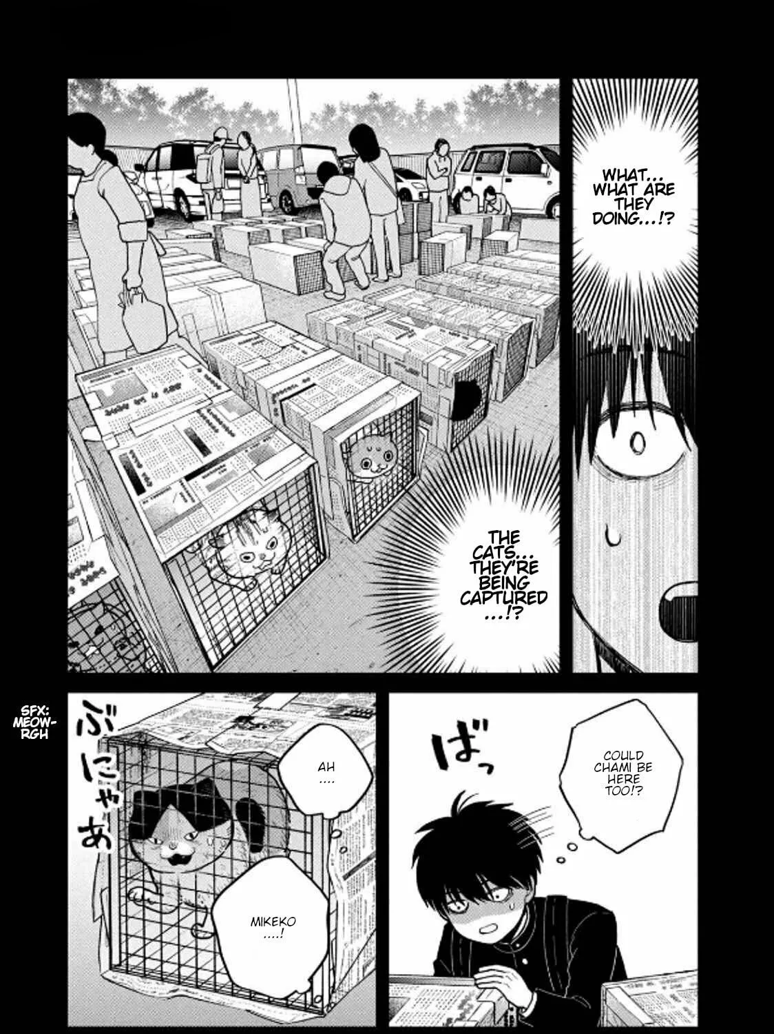Cat Companions Maruru and Hachi Chapter 36 page 13 - 