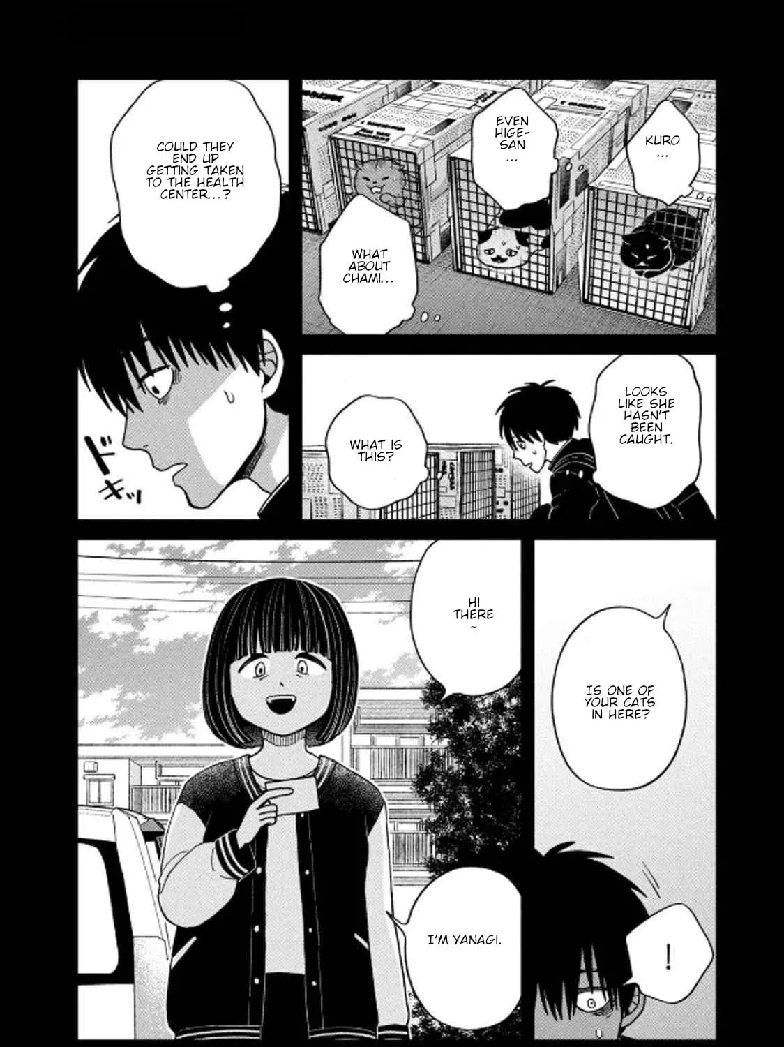 Cat Companions Maruru and Hachi Chapter 36 page 15 - 