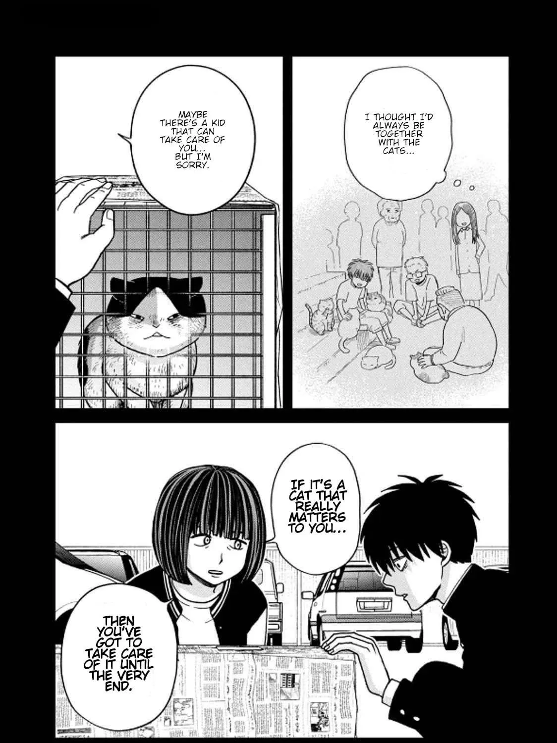 Cat Companions Maruru and Hachi Chapter 36 page 19 - 