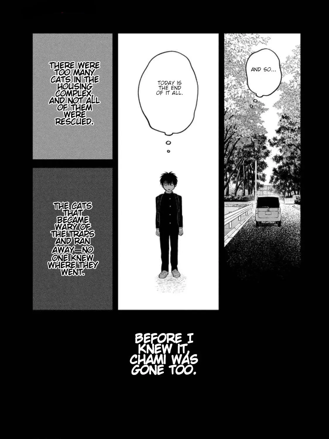 Cat Companions Maruru and Hachi Chapter 36 page 27 - 