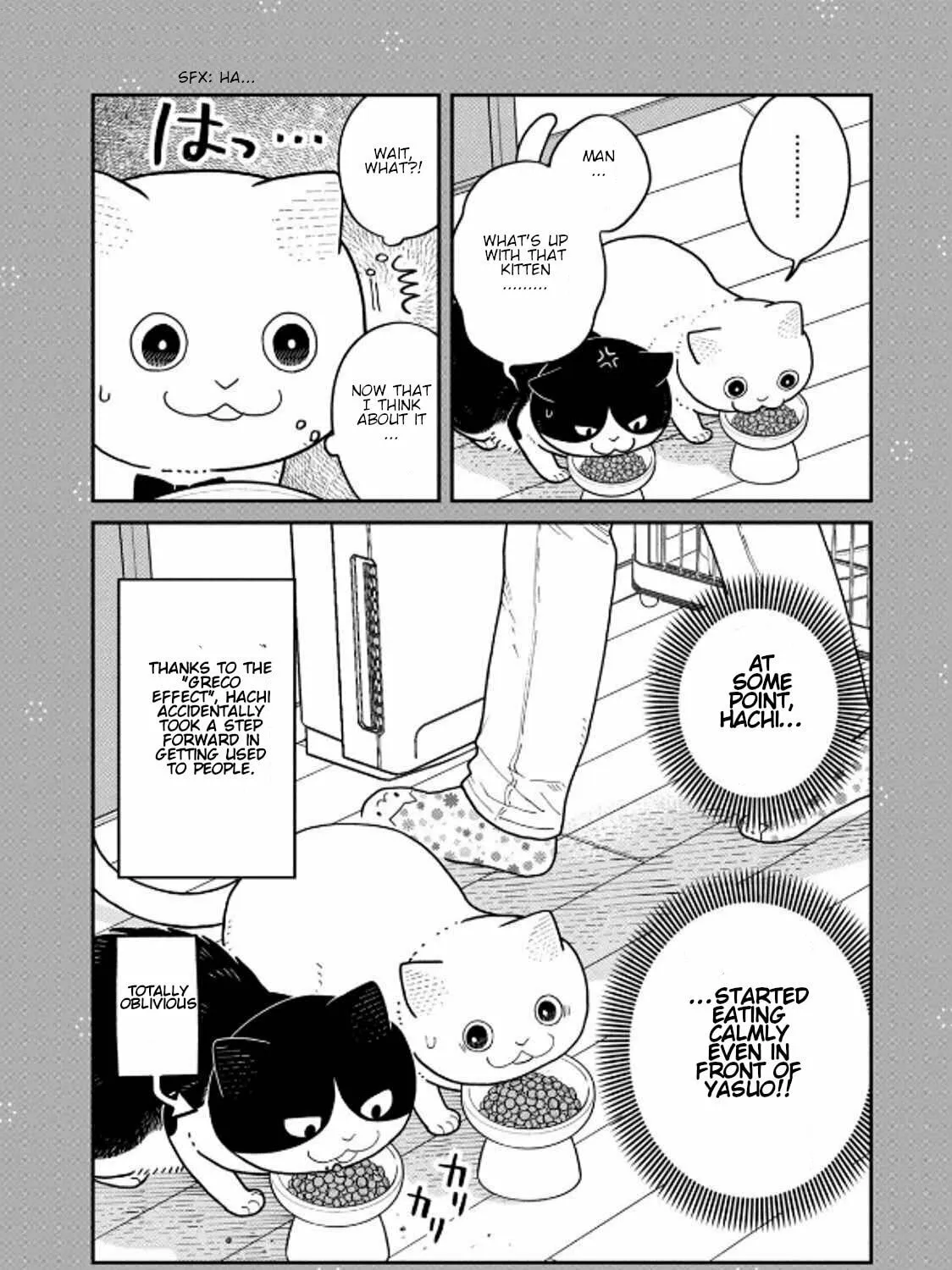 Cat Companions Maruru and Hachi Chapter 36 page 33 - 