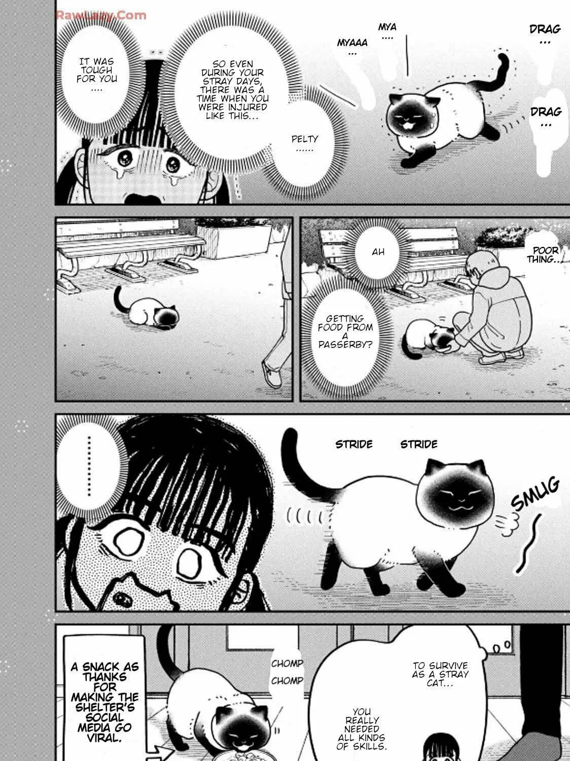 Cat Companions Maruru and Hachi Chapter 36 page 39 - 