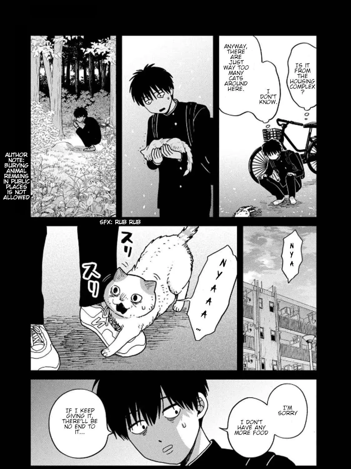 Cat Companions Maruru and Hachi Chapter 36 page 5 - 