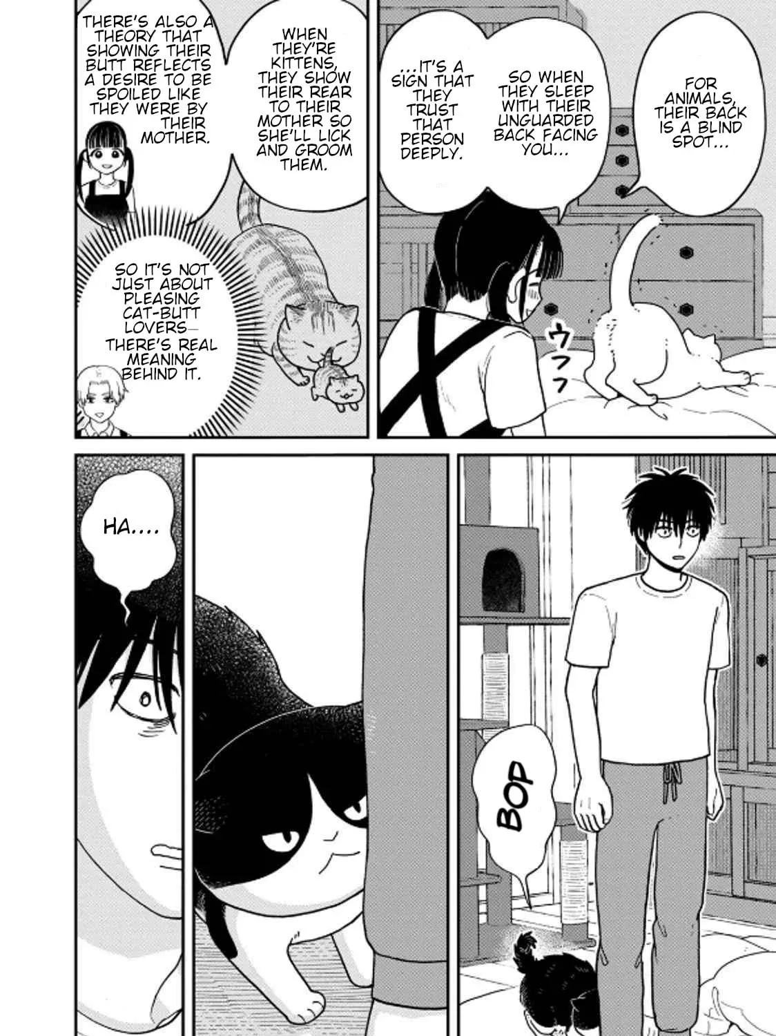 Cat Companions Maruru and Hachi Chapter 38 page 15 - 