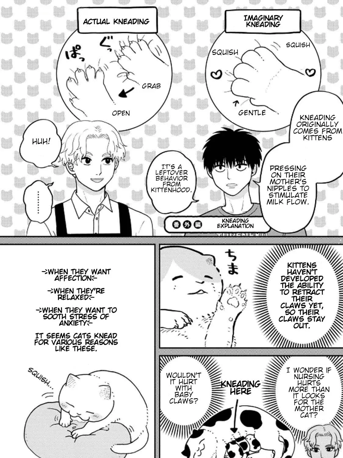 Cat Companions Maruru and Hachi Chapter 38 page 25 - 