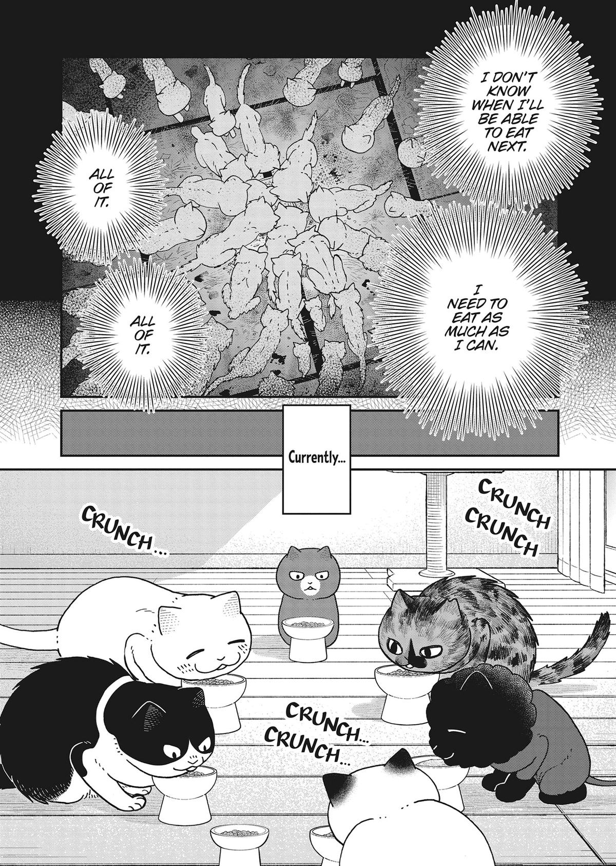 Cat Companions Maruru and Hachi Chapter 39 page 2 - 