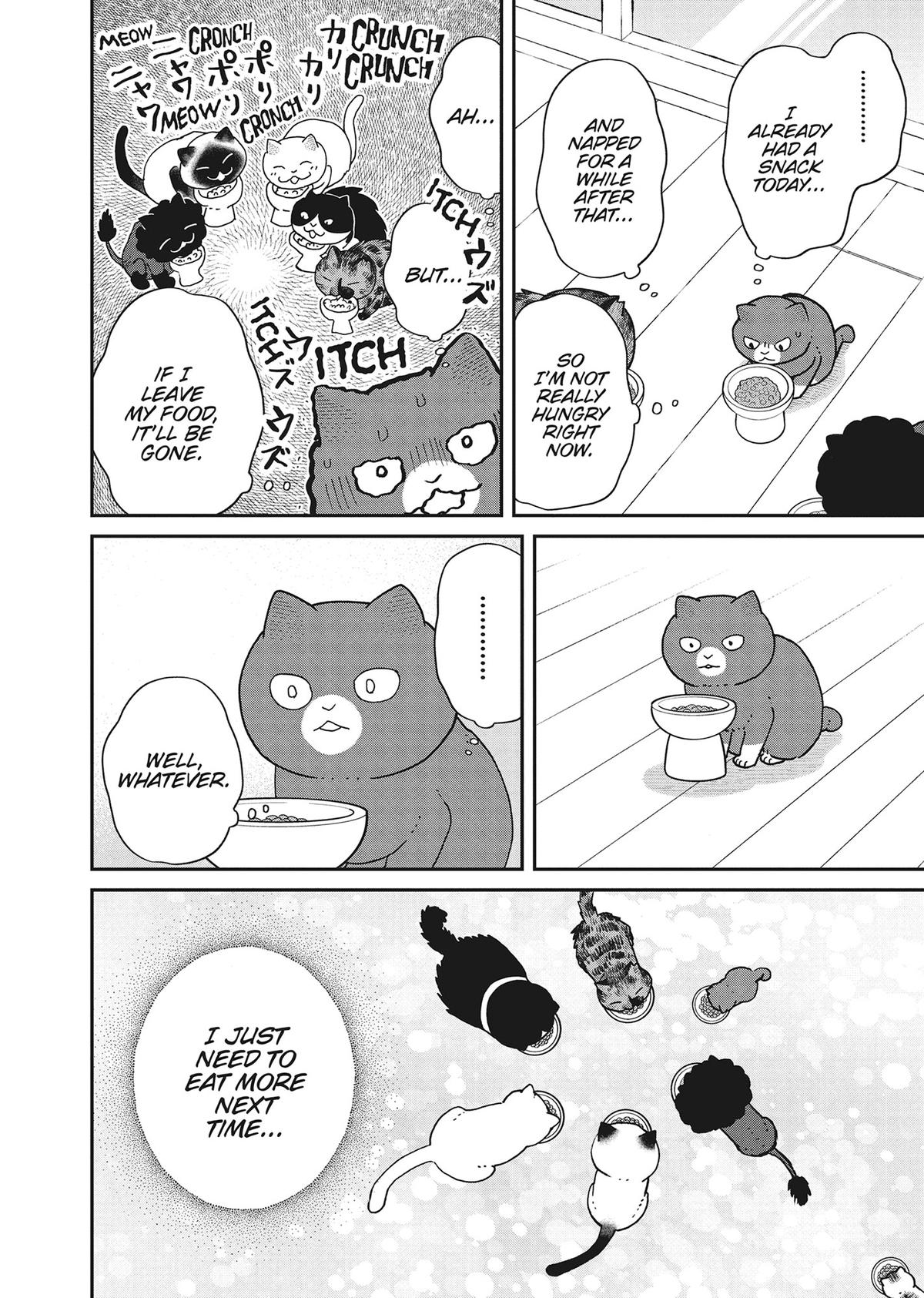 Cat Companions Maruru and Hachi Chapter 39 page 12 - 