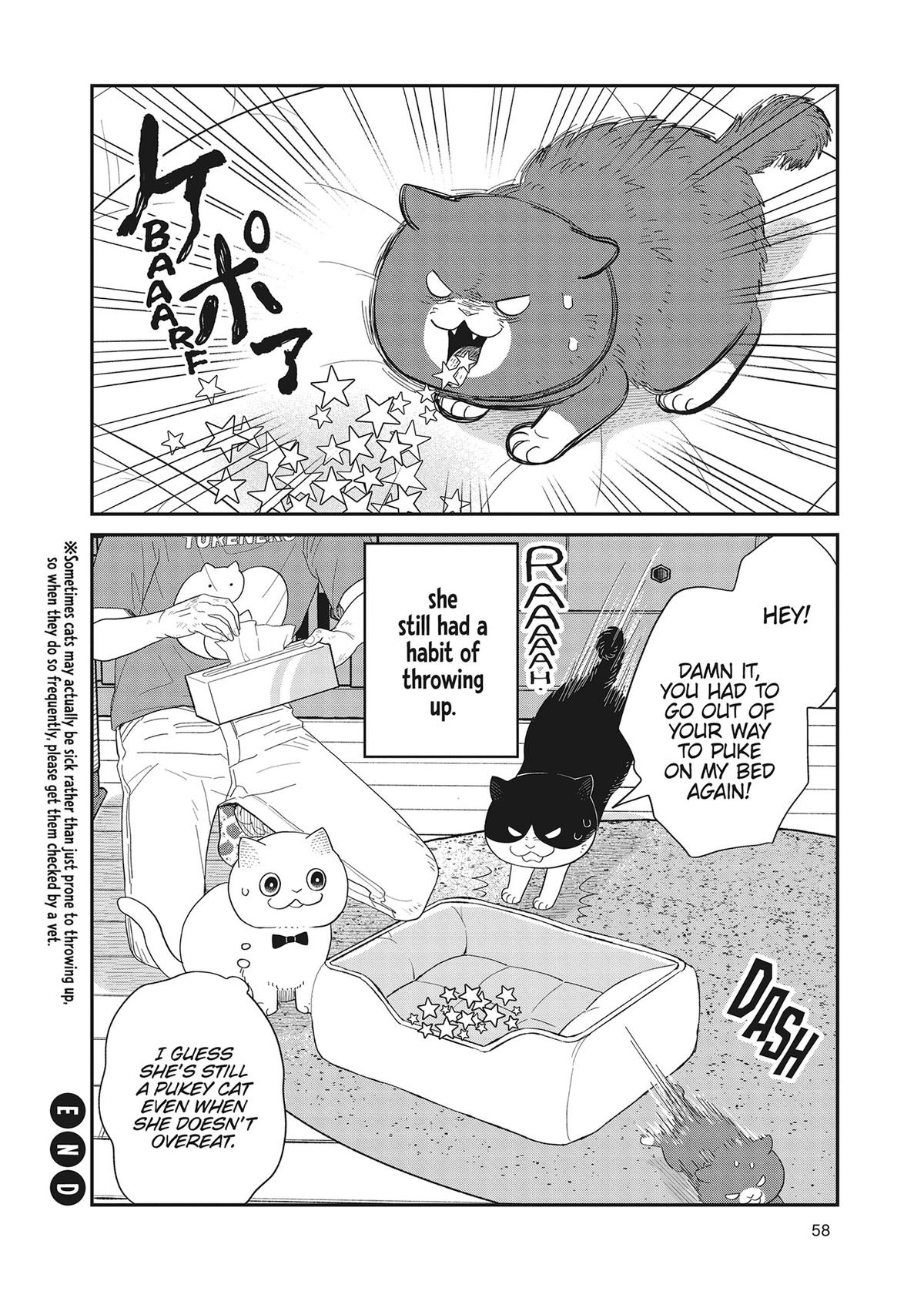 Cat Companions Maruru and Hachi Chapter 39 page 14 - 
