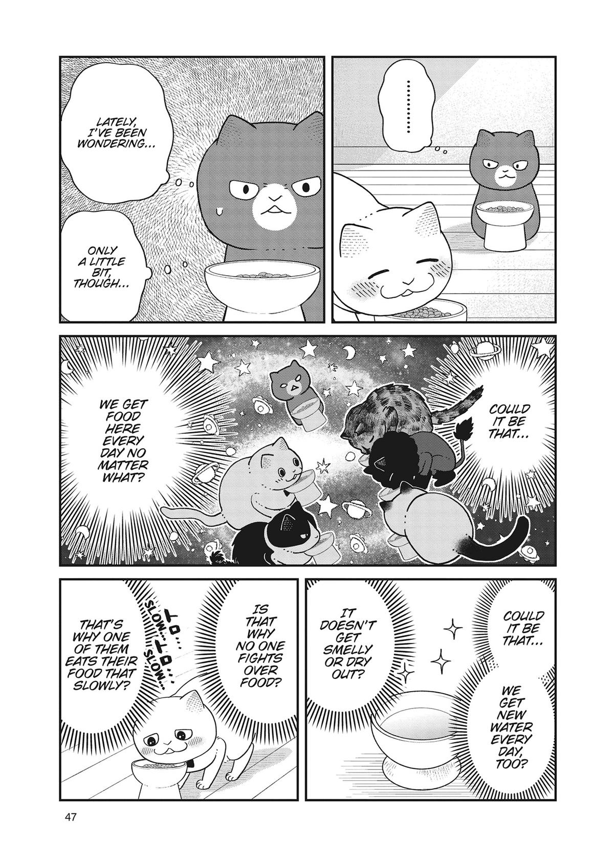 Cat Companions Maruru and Hachi Chapter 39 page 3 - 