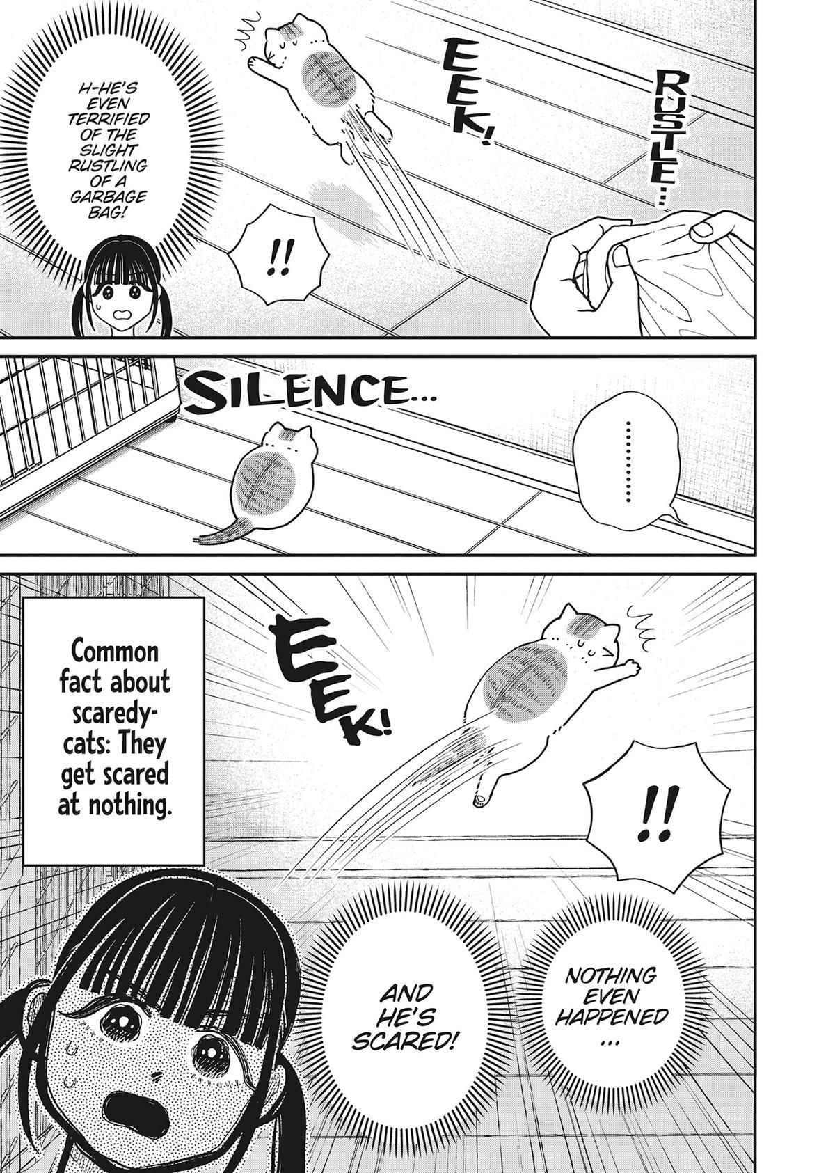 Cat Companions Maruru and Hachi Chapter 39 page 9 - 