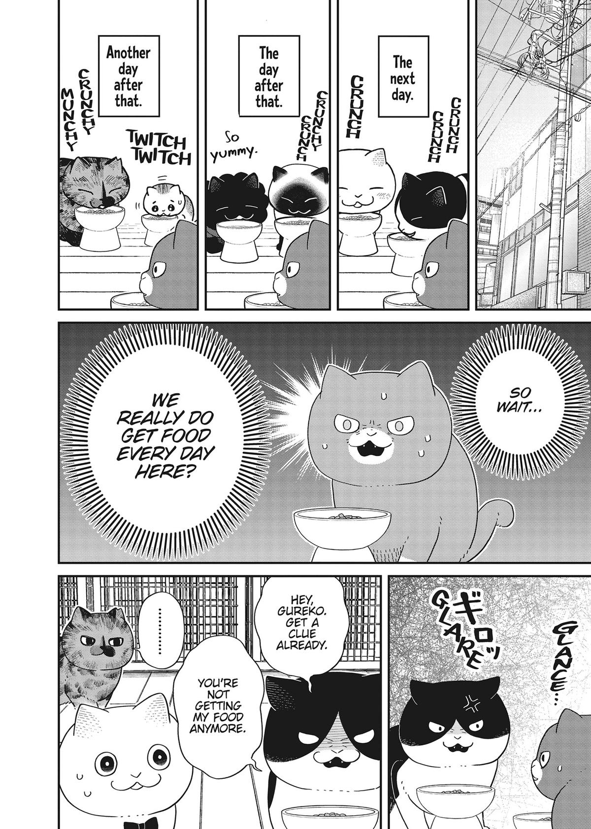 Cat Companions Maruru and Hachi Chapter 39 page 10 - 