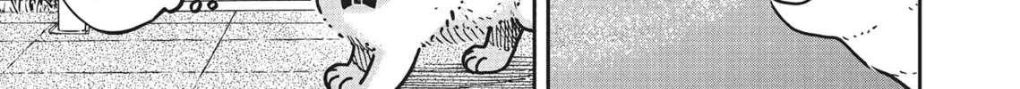 Cat Companions Maruru and Hachi Chapter 4 page 2 - 