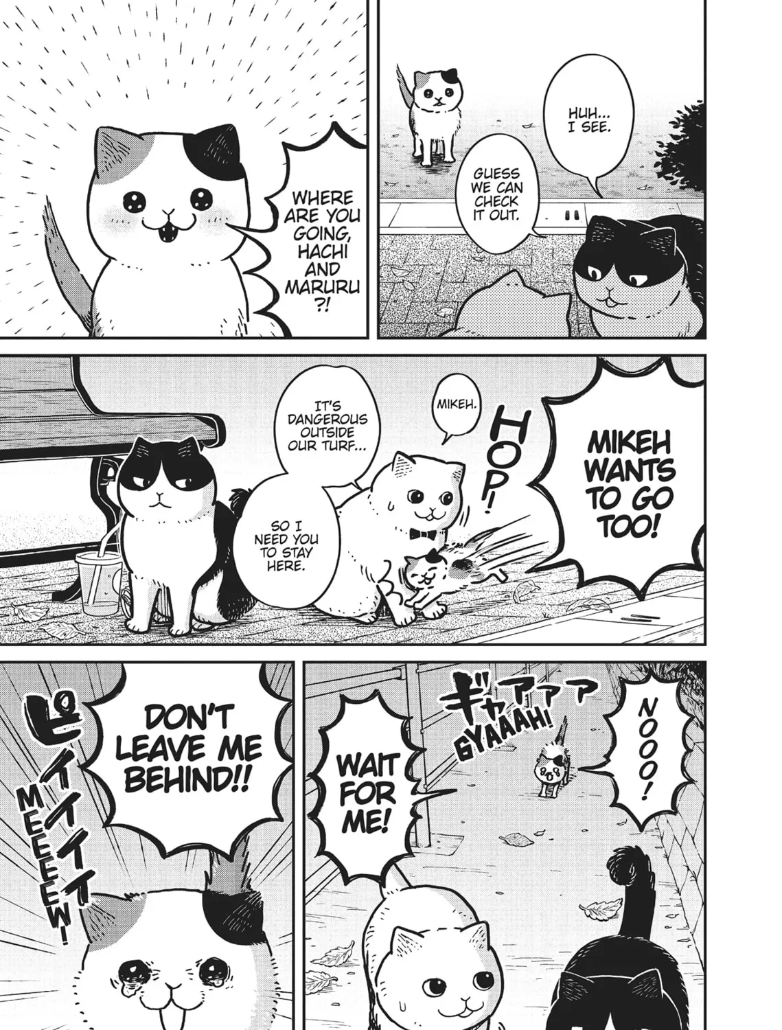Cat Companions Maruru and Hachi Chapter 4 page 13 - 