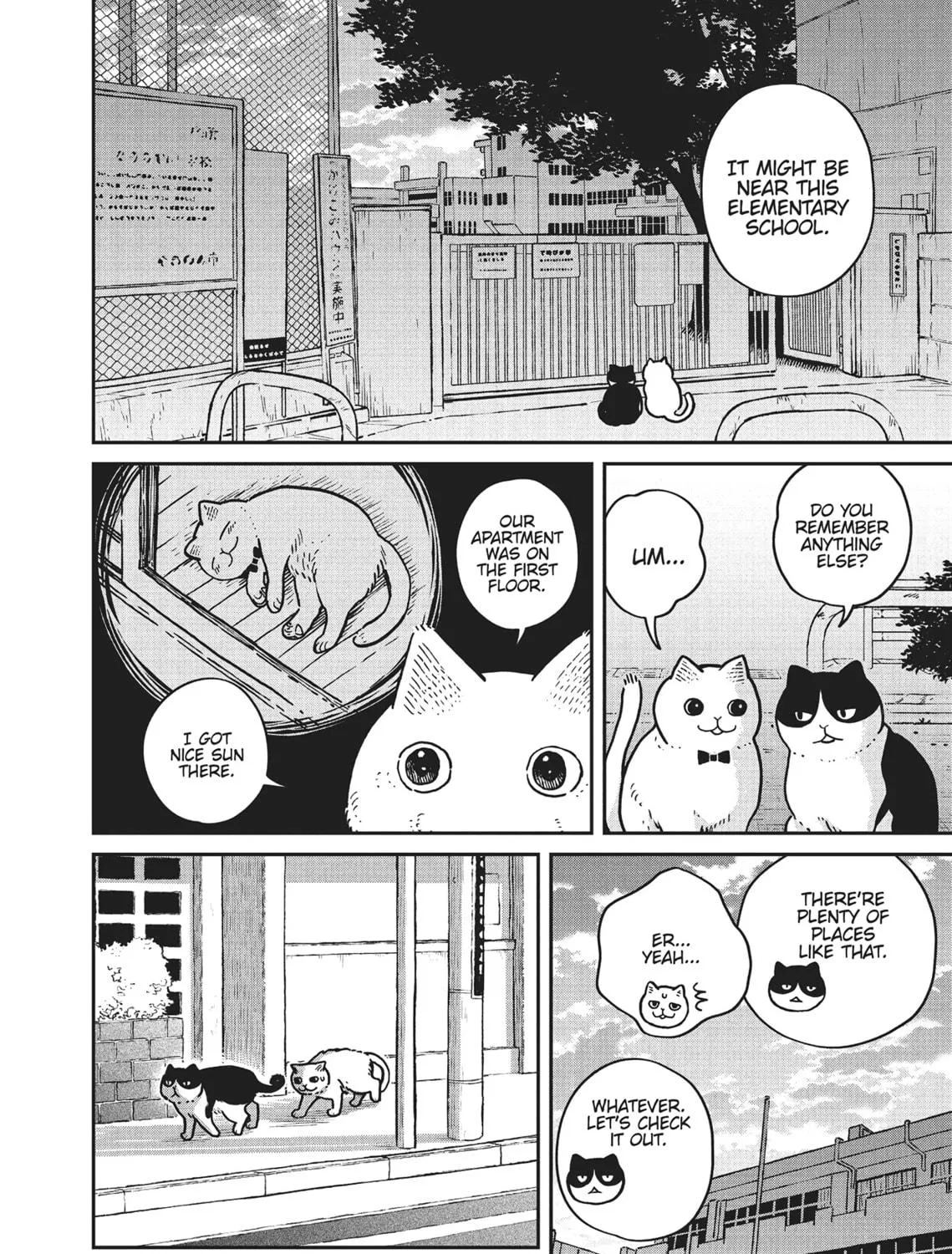 Cat Companions Maruru and Hachi Chapter 4 page 19 - 