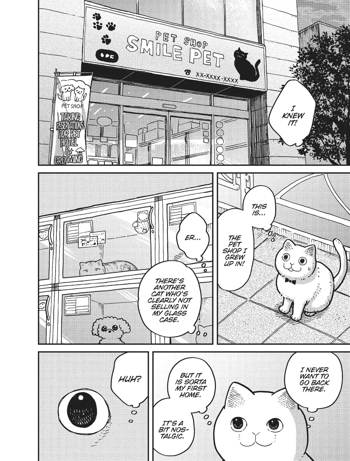 Cat Companions Maruru and Hachi Chapter 4 page 3 - 