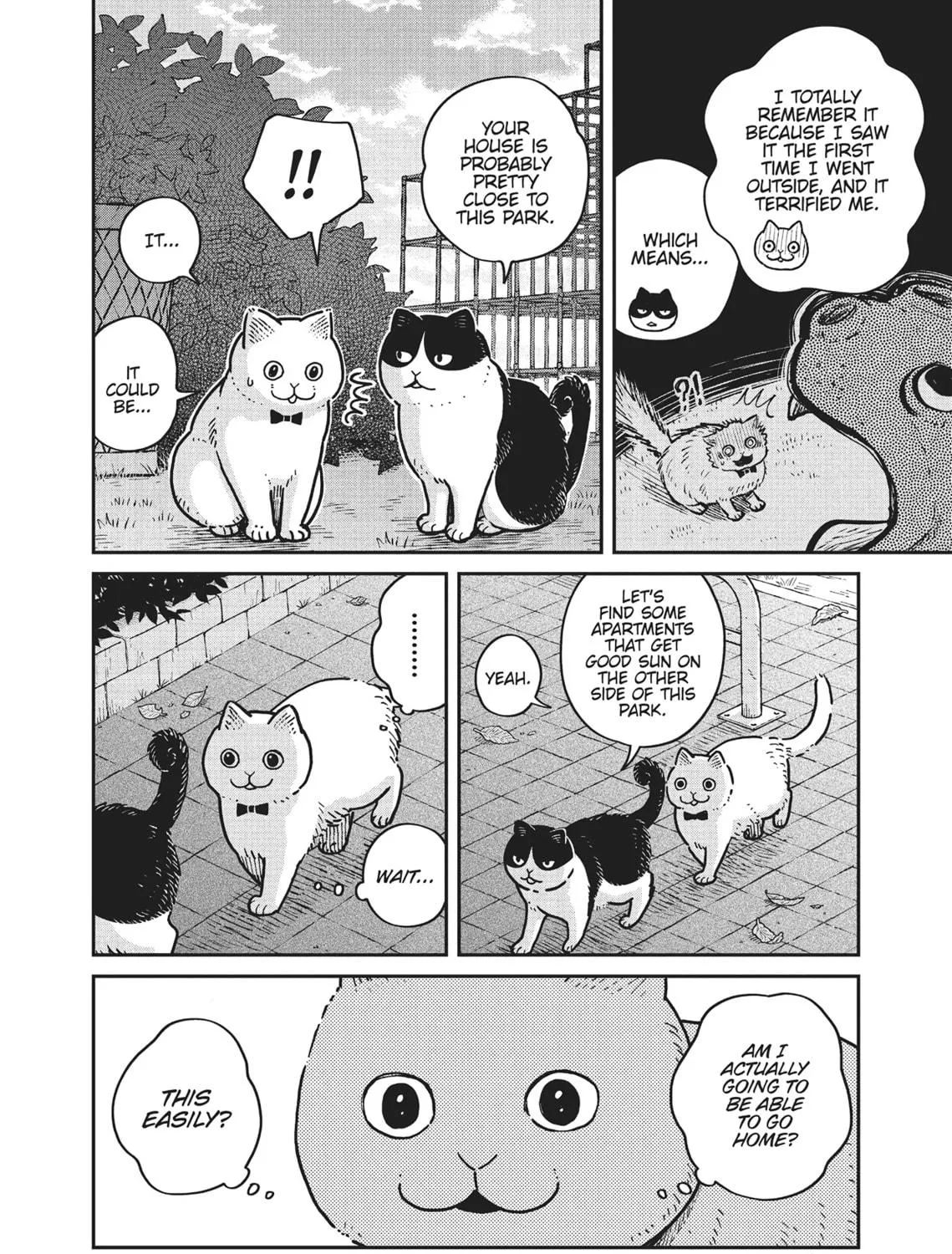 Cat Companions Maruru and Hachi Chapter 4 page 23 - 