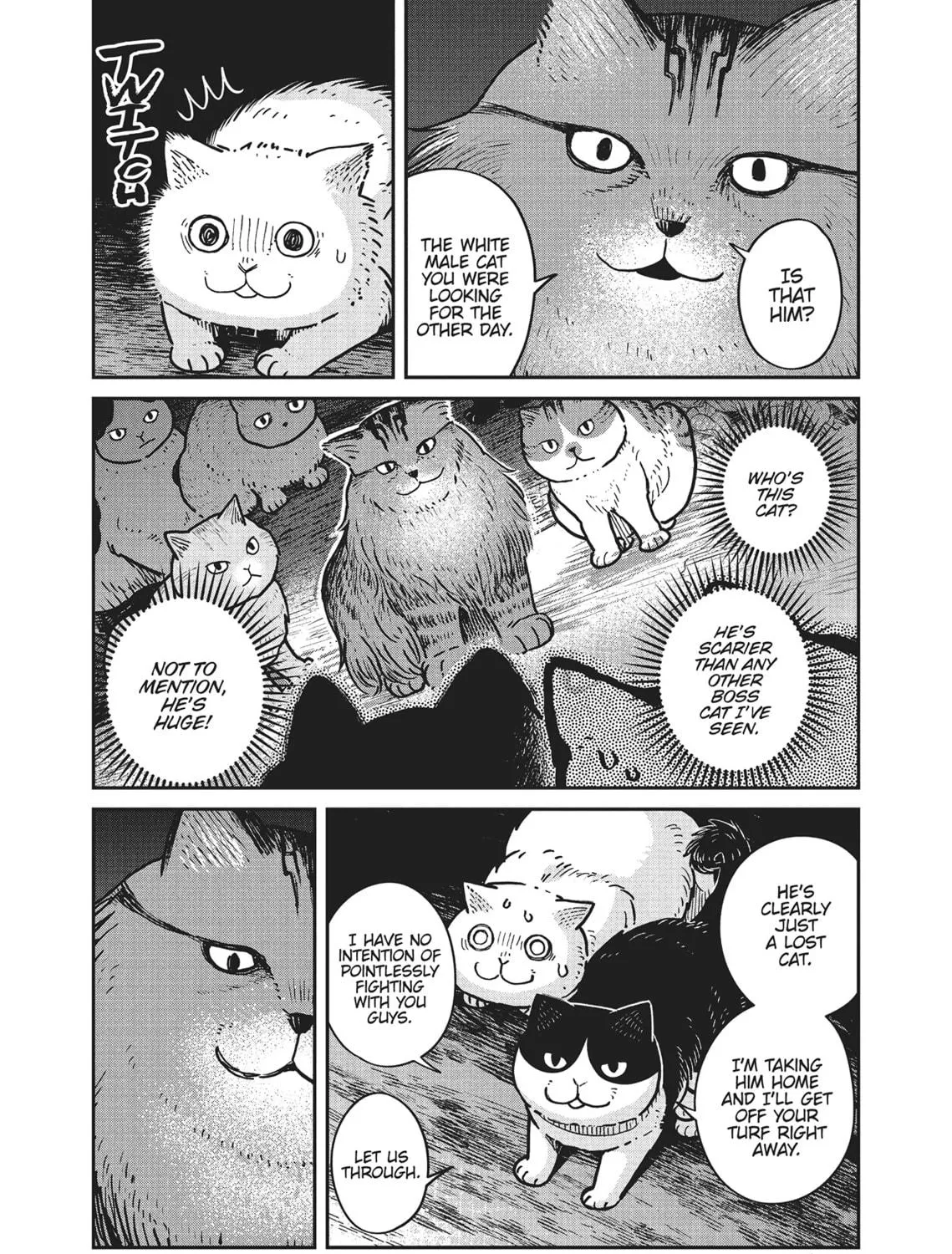 Cat Companions Maruru and Hachi Chapter 4 page 29 - 