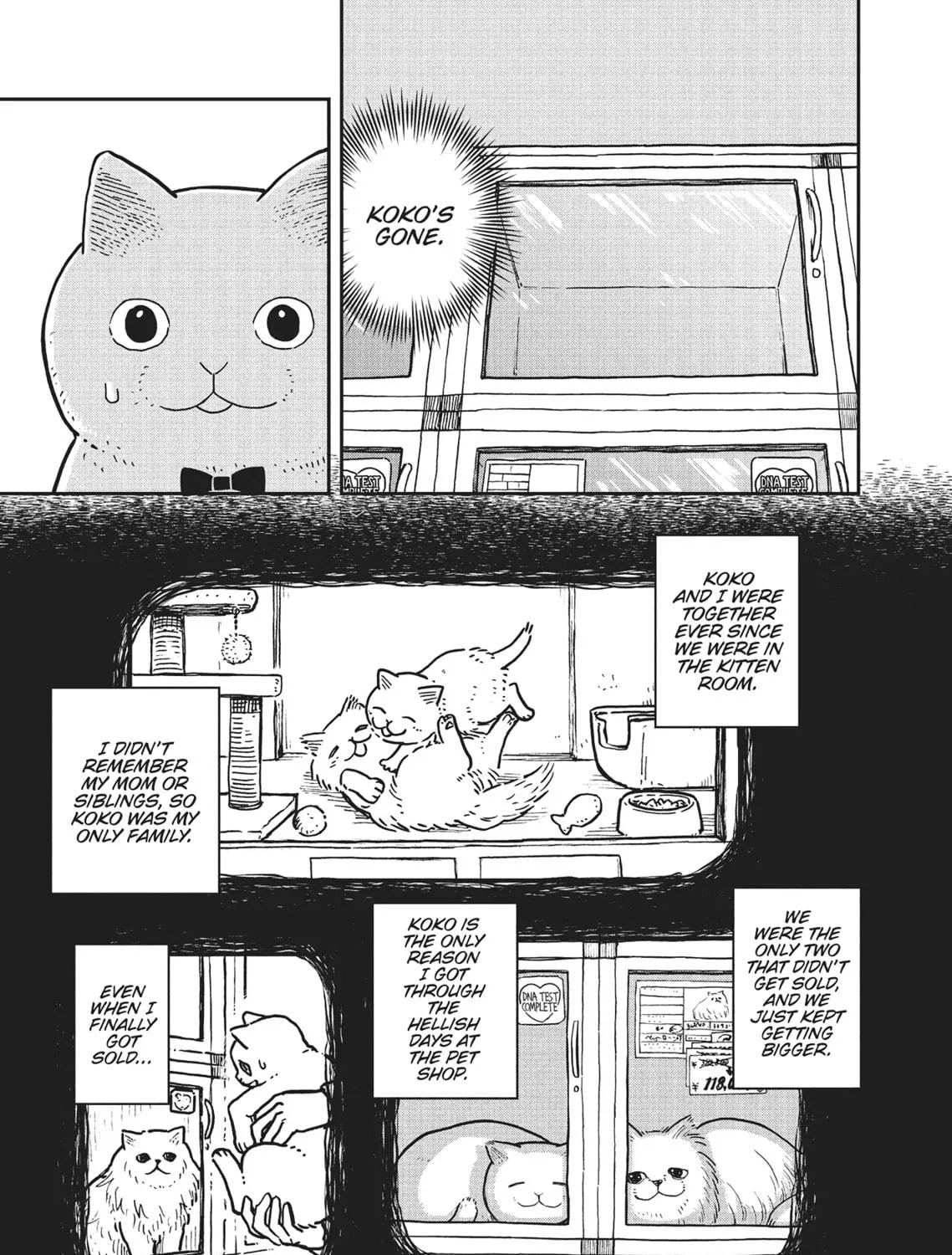 Cat Companions Maruru and Hachi Chapter 4 page 5 - 