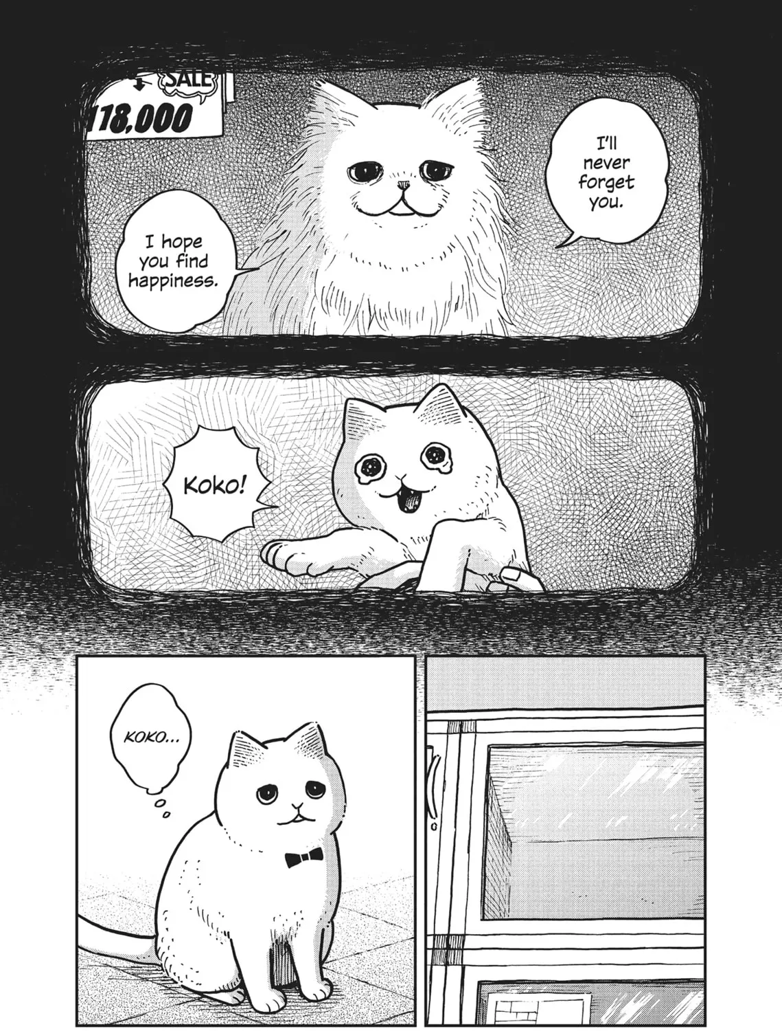 Cat Companions Maruru and Hachi Chapter 4 page 7 - 